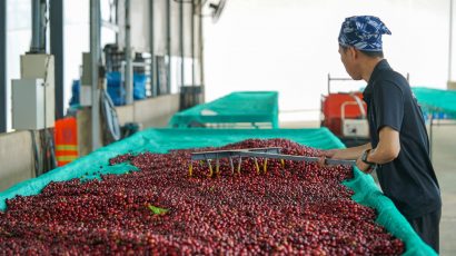 Doce departamentos concentran el 73.7% de la producción del país: CADE Ejecutivos 2026 pone el foco en las brechas regionales